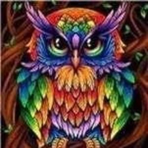 Meet your Posher, Jac lyn